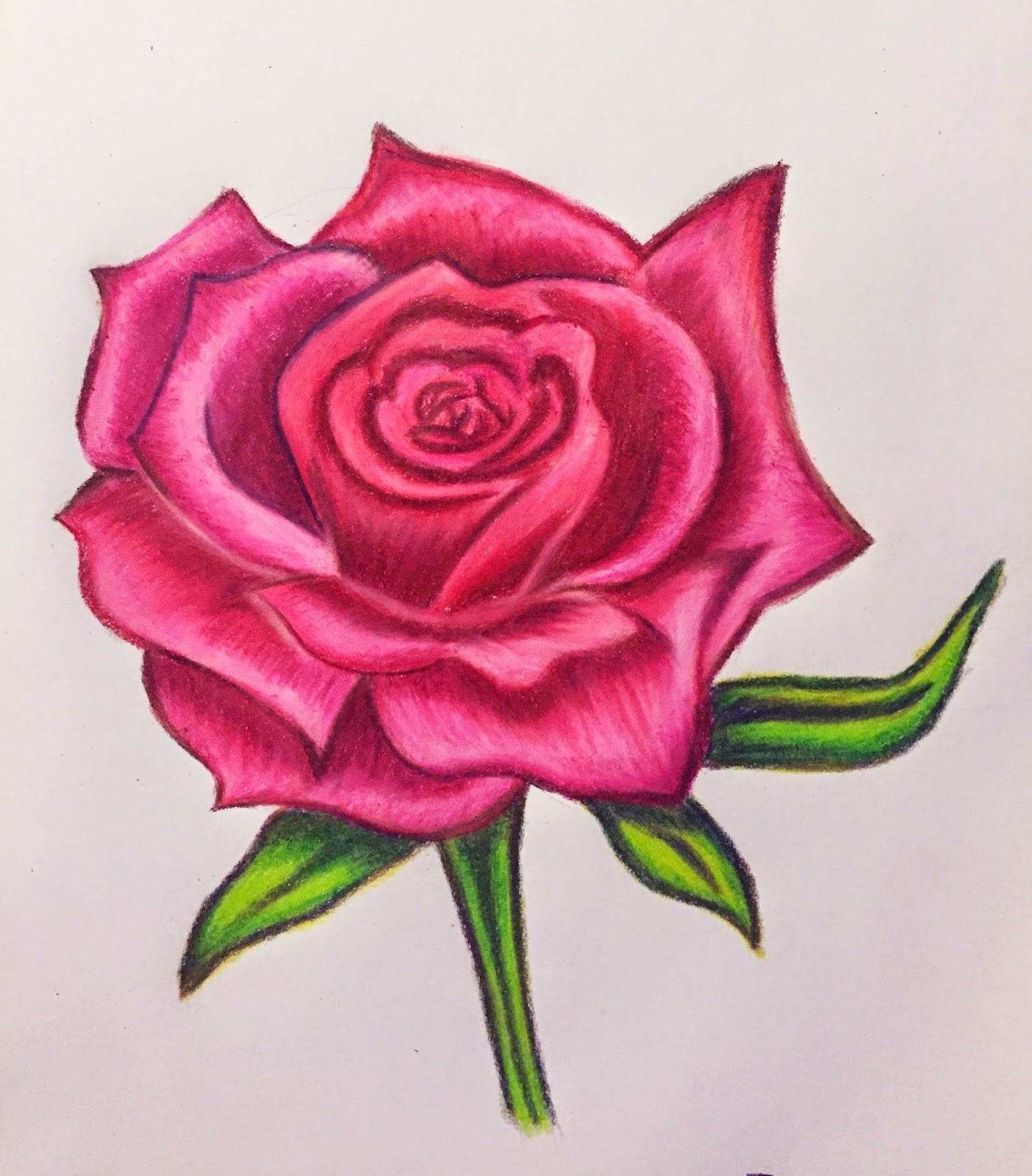 Vẽ hoa hồng bằng sáp màu những hình ảnh đẹp nhất