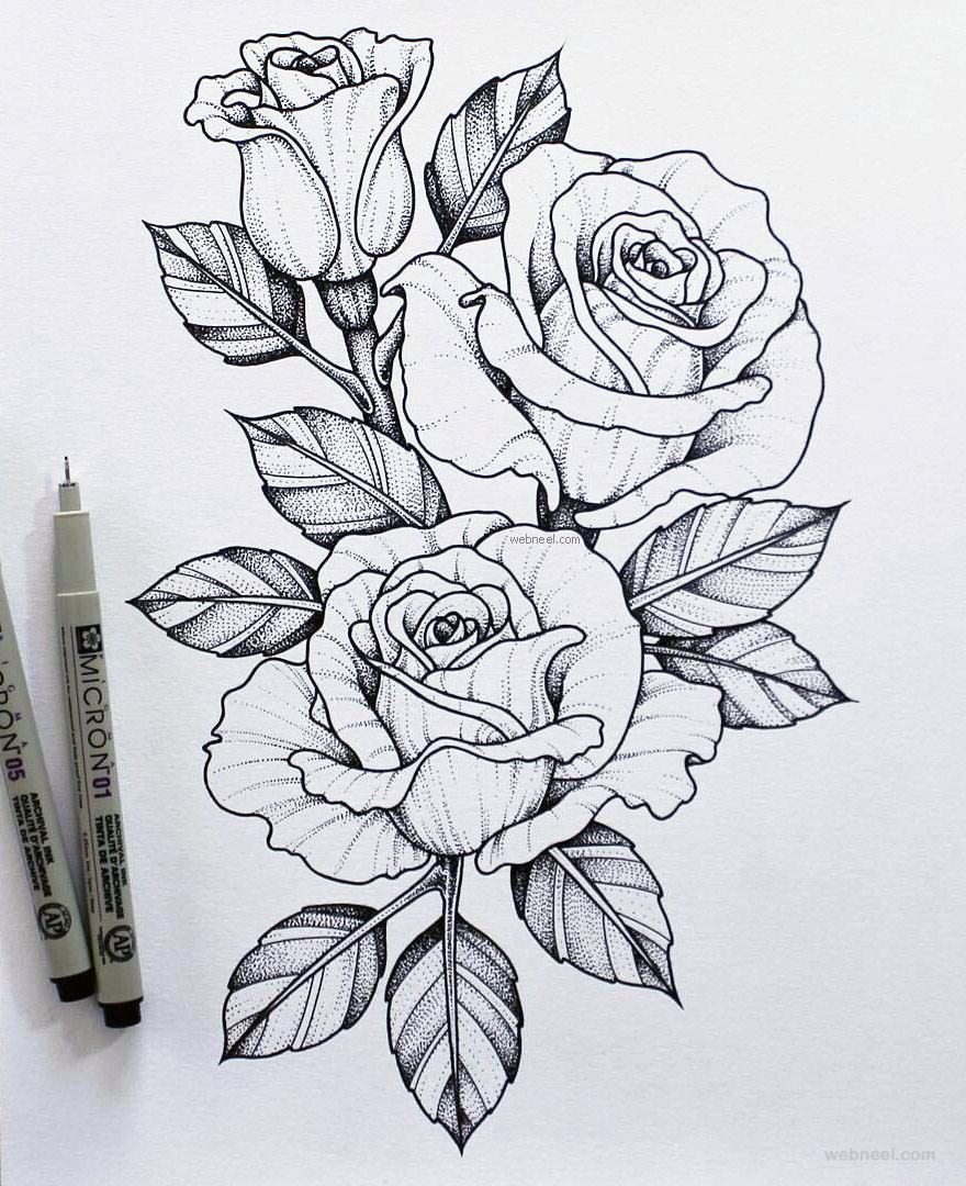 Vẽ hình hoa hồng đẹp nhất bằng bút chì