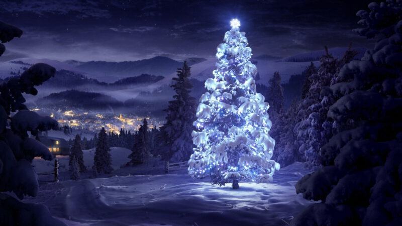 Hình ảnh cây thông noel tỏa sáng trong tuyết