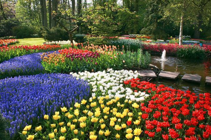 Hình ảnh vườn hoa rực rỡ sắc màu