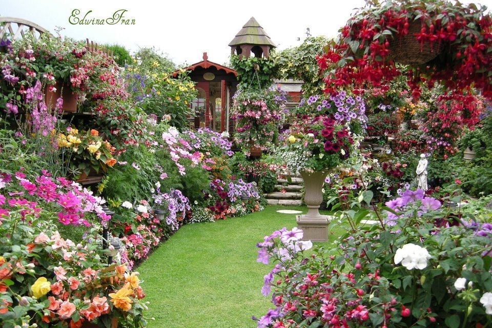 Hình ảnh vườn hoa đẹp