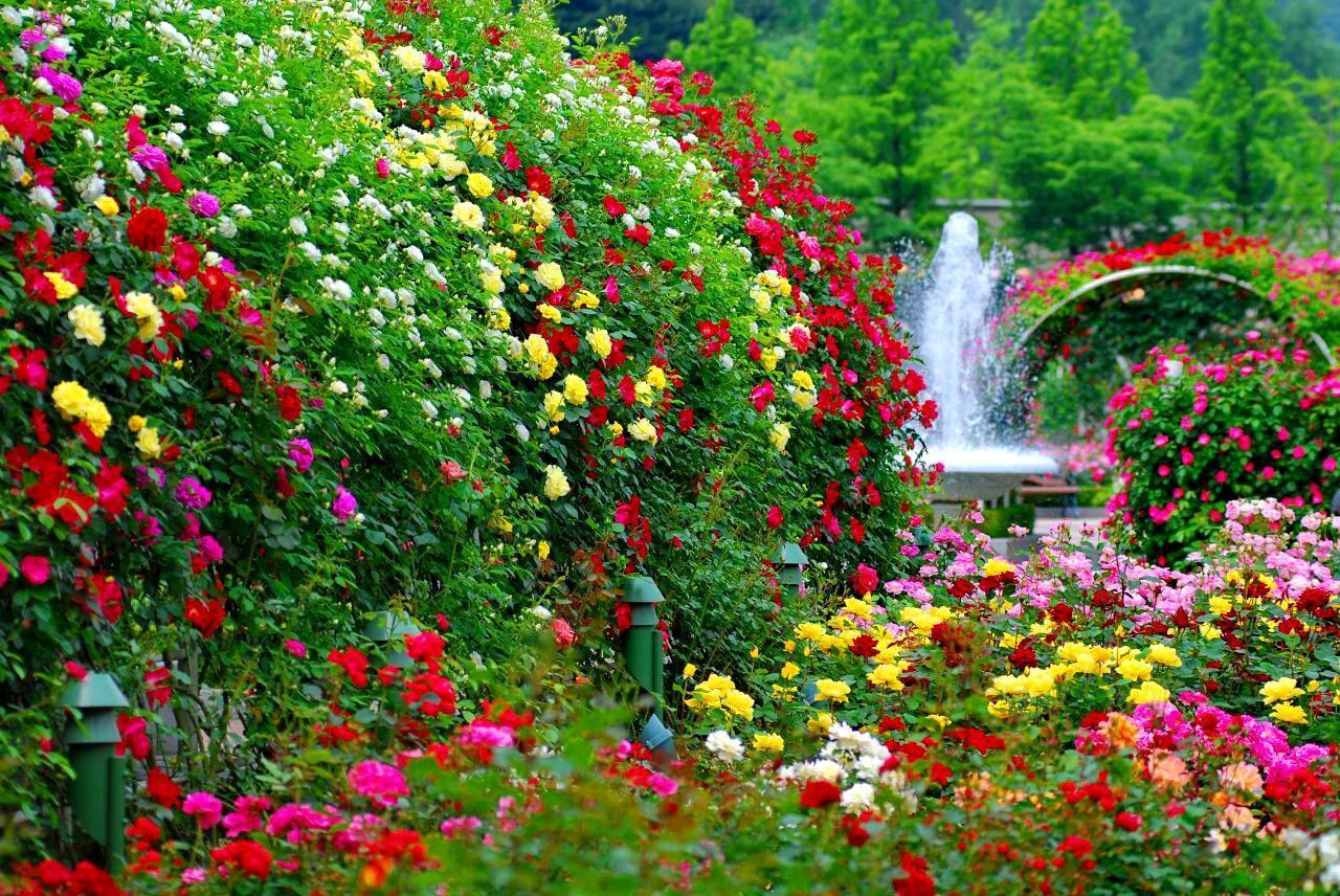 Vườn hoa đẹp nhất thế giới