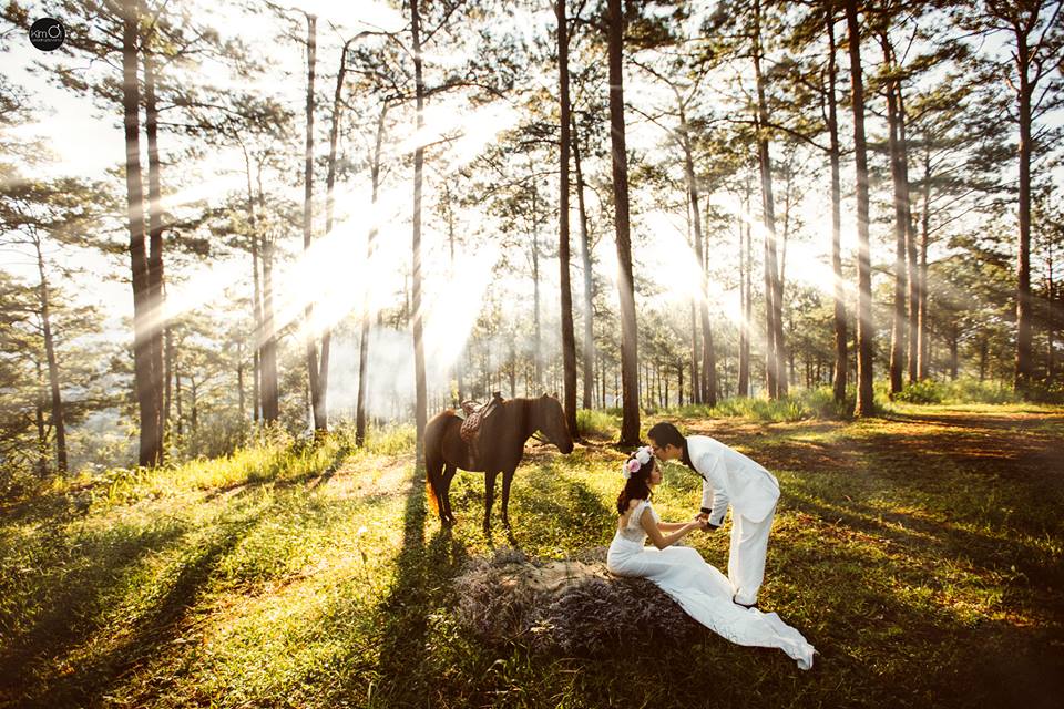 Ảnh cưới đẹp trong rừng