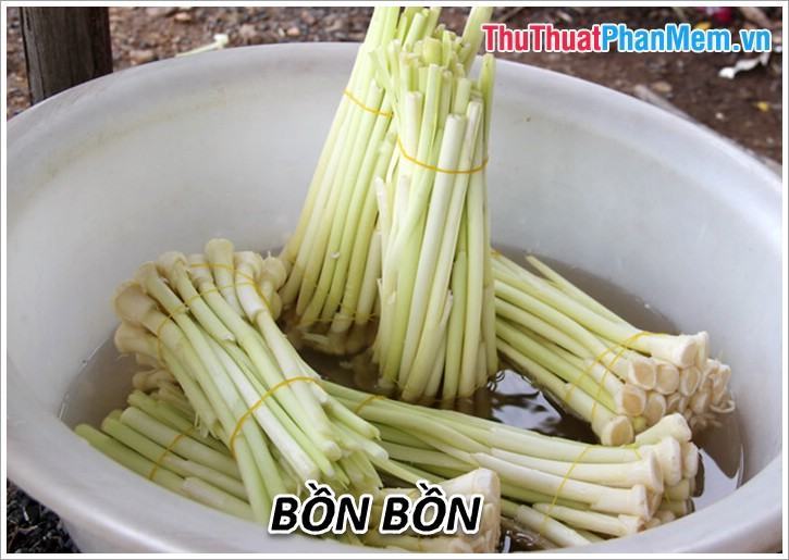 bồn tắm