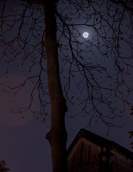 Hình ảnh mặt trăng vào ban đêm