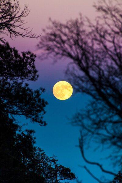 Hình ảnh mặt trăng huyền diệu