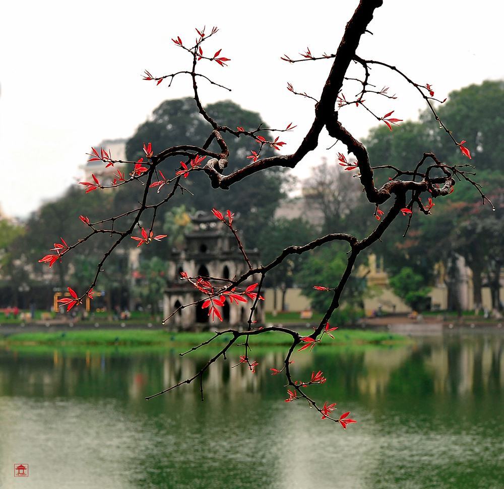 Hình ảnh Hồ Gươm lá đỏ cành vàng cực đẹp