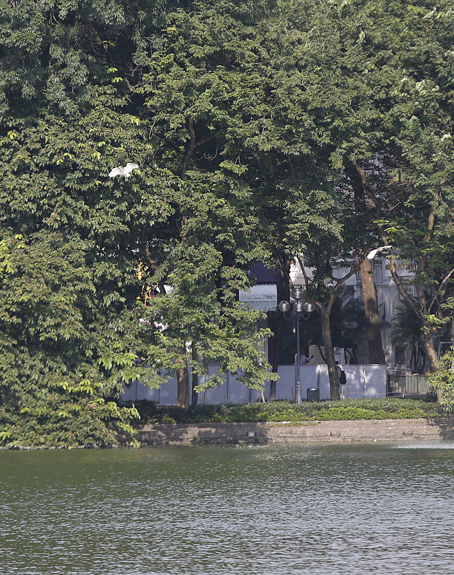 Hình ảnh Hồ Gươm một góc mặt nước hồ