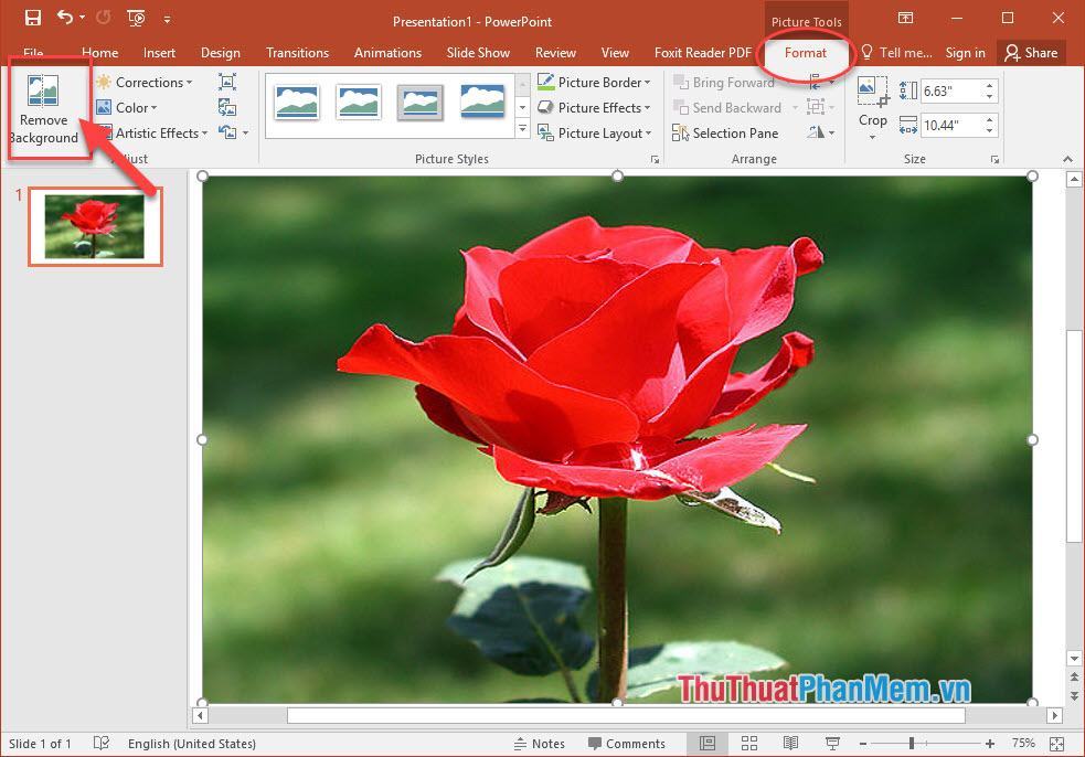 Làm mờ ảnh PowerPoint 2024: Công cụ làm mờ ảnh của PowerPoint 2024 giúp bạn tạo ra những slide thật mềm mại và thú vị hơn. Với tính năng này, bạn có thể tăng tính tương tác của bản thuyết trình và thu hút đông đảo khán giả. Xem hình ảnh liên quan và trải nghiệm tính năng làm mờ ảnh của PowerPoint 2024!