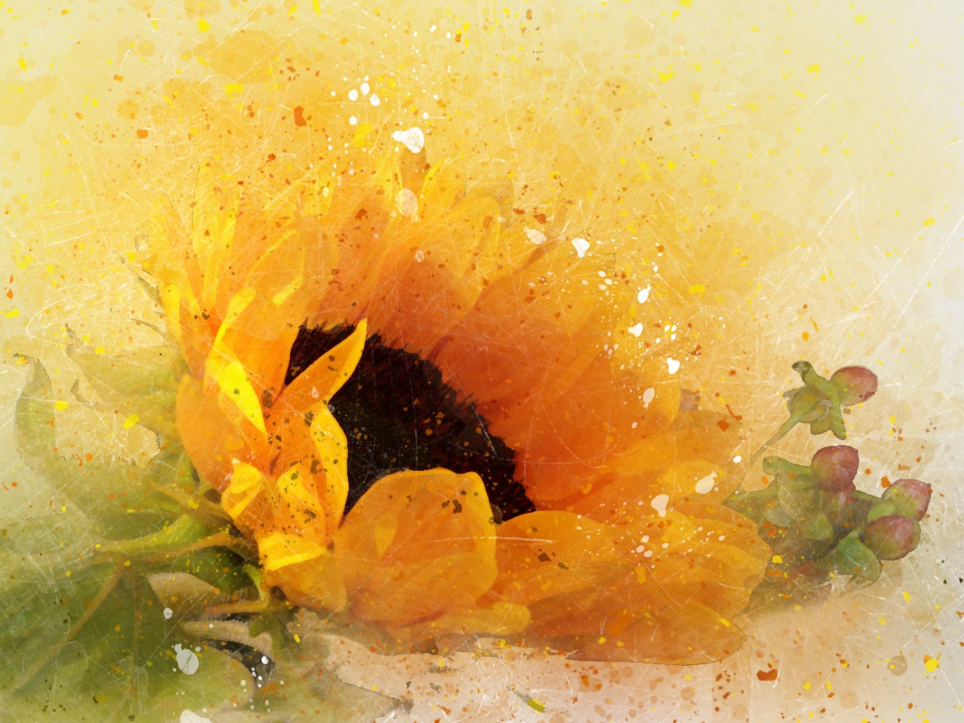 Watercolor Sunflower và Splatter