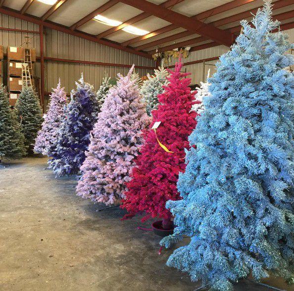 Hình ảnh cây thông Noel đầy màu sắc