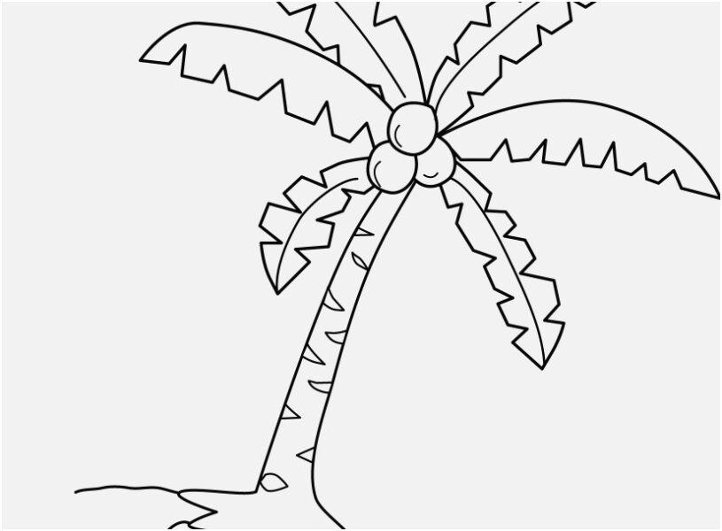 tranh tô màu cây cọ Pic Inspiration Free Coloring Pages Dừa Mới Clipart Dừa