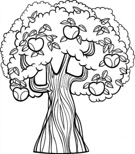 Trang tô màu cây Getcoloringpages liên quan đến Apple Tree Coloring Pages liên quan đến Khuyến khích trong trang tô màu