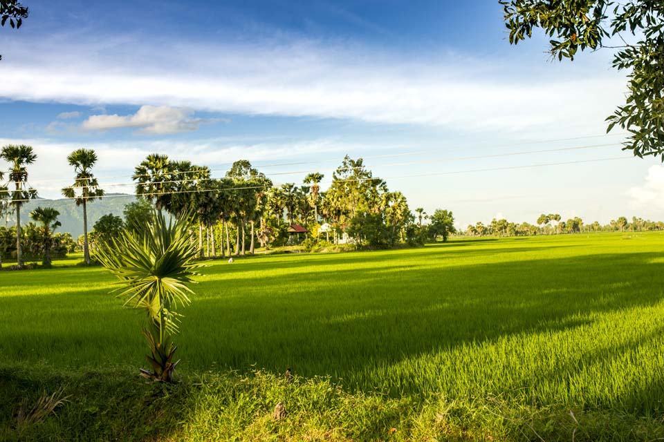 Hình ảnh về làng quê Việt Nam là điểm đến không thể bỏ qua cho những ai yêu thương đời sống tự nhiên và yên bình. Từ những khoảng trời rộng mở đến những đồng ruộng thẳm, từ những con đường rợp bóng cây đến những cánh đồng xanh tươi, bạn sẽ thực sự cảm nhận được vẻ đẹp đầy sức sống của làng quê Việt Nam.