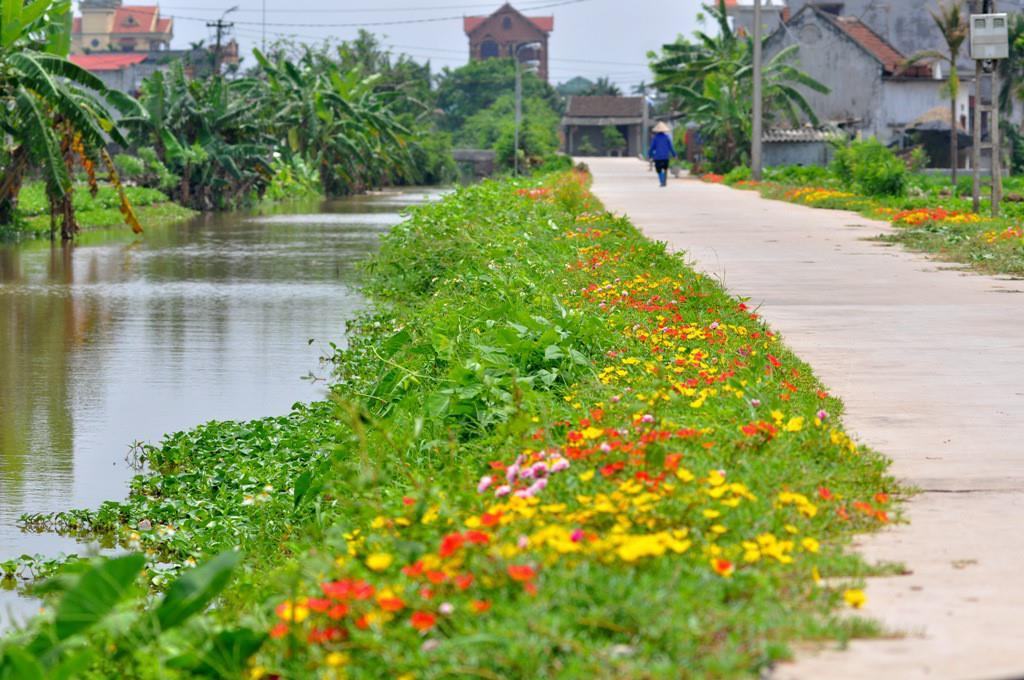 Hình ảnh làng quê Việt Nam thanh bình