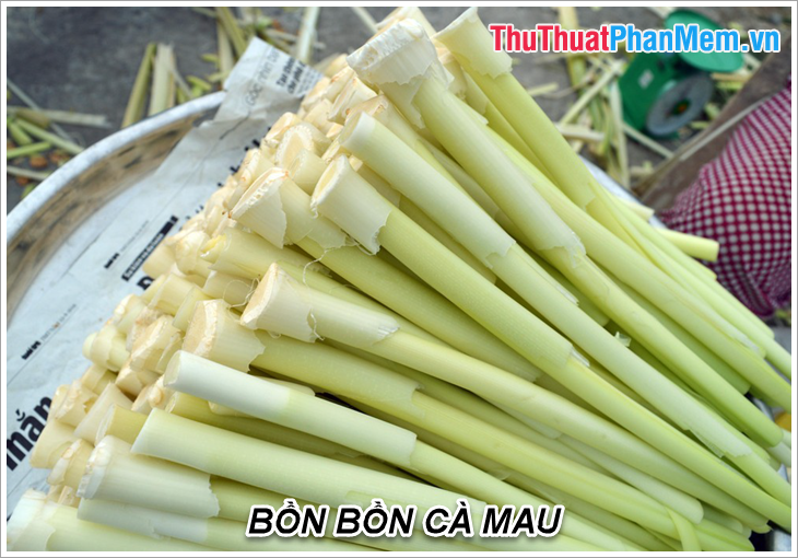 Bồn Tắm Cà Mau