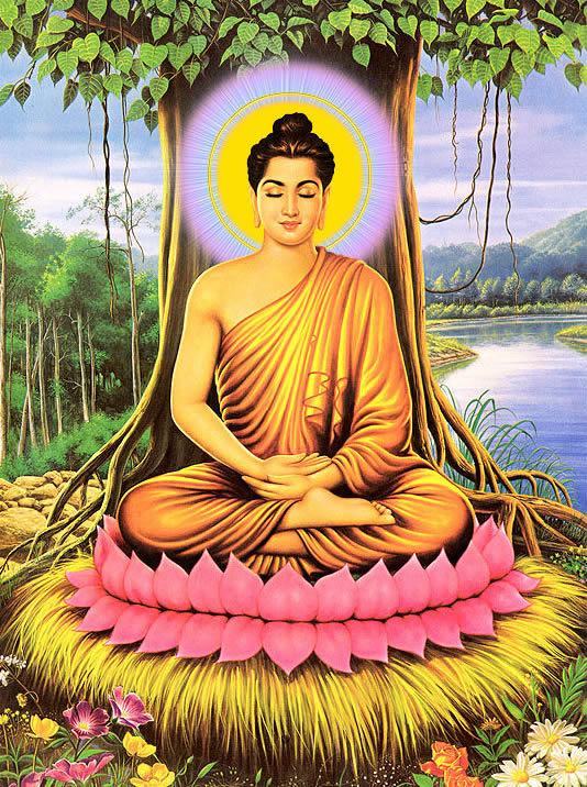 Hình ảnh Phật ngồi thiền đẹp