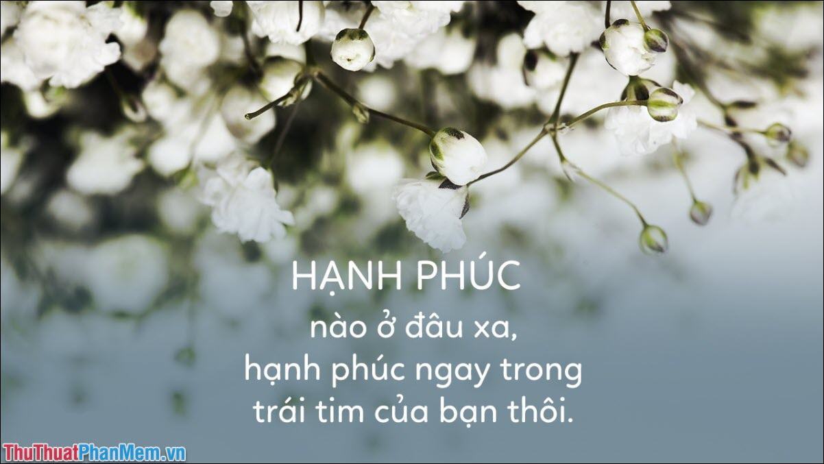 Hạnh phúc không ở đâu xa, hạnh phúc ở ngay trong tim bạn