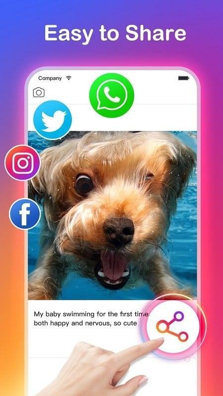 Trình tải xuống video cho apk mod Instagram