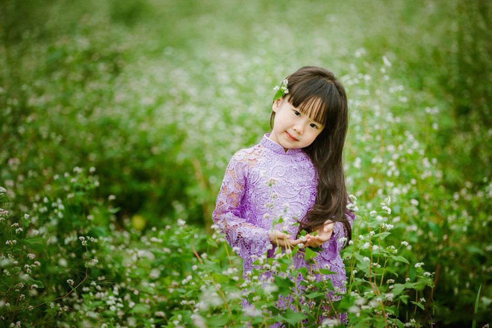 Hình ảnh cô gái xinh đẹp trên cánh đồng hoa