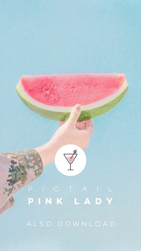 PICTAIL Mojito mod apk