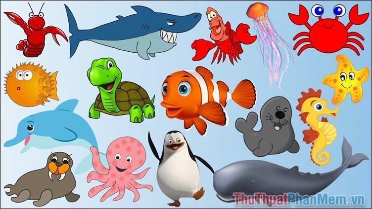 Động vật biển và thủy sinh