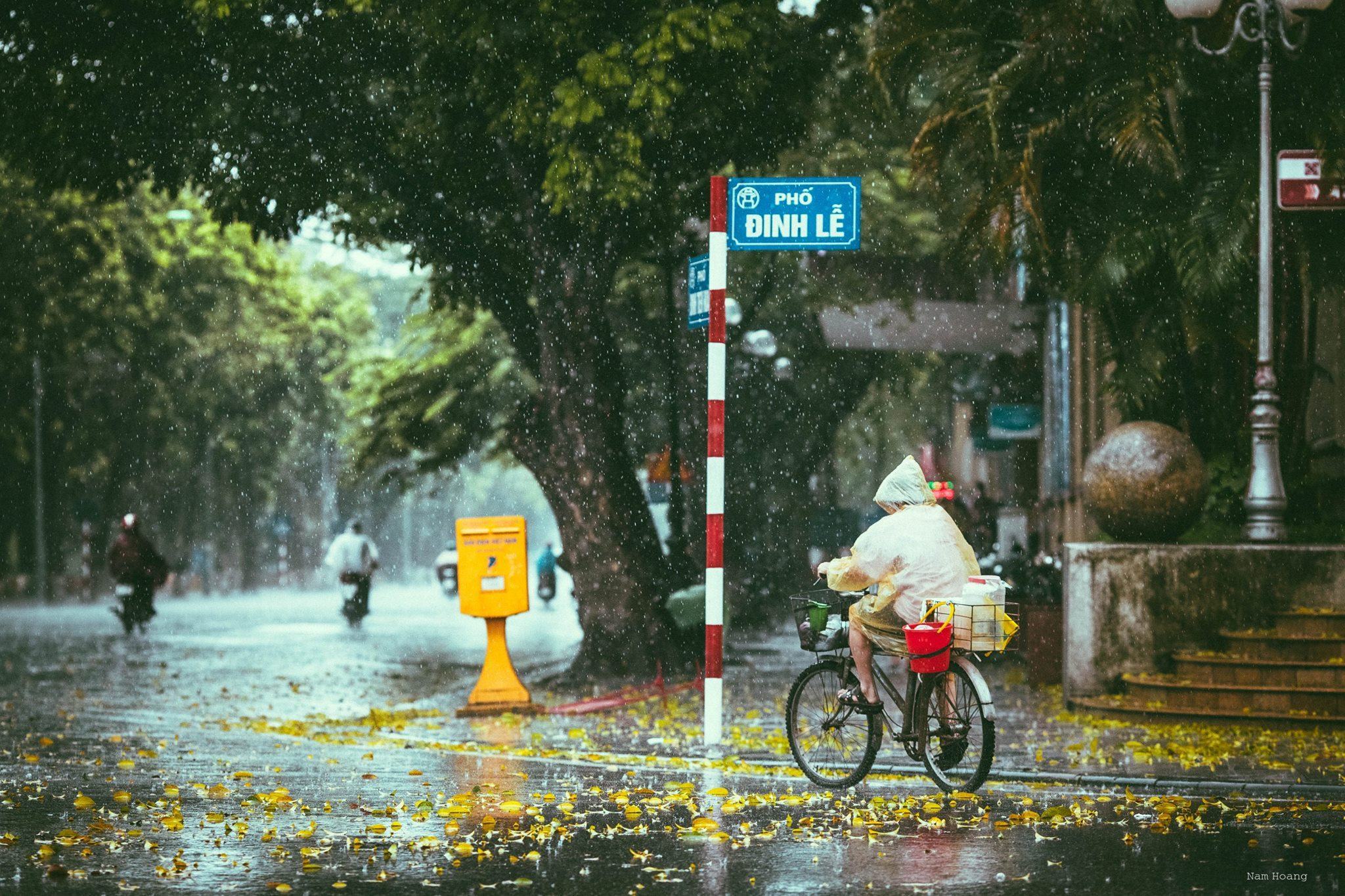 Hình ảnh đẹp về mưa trên phố