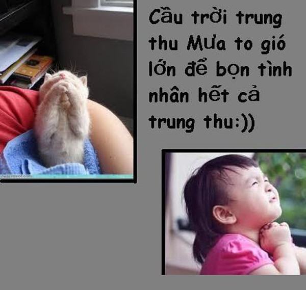 Hình ảnh FA cầu mưa