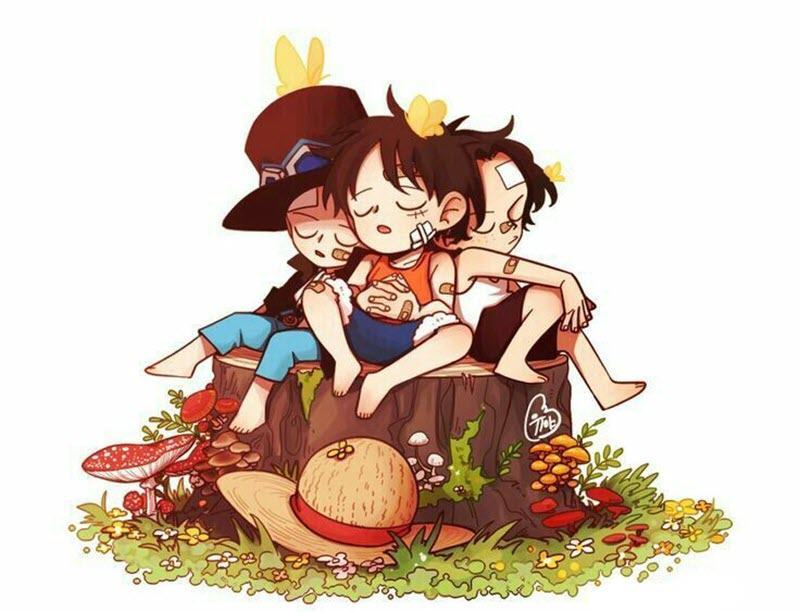 Những hình ảnh dễ thương kute của luffy - One Piece