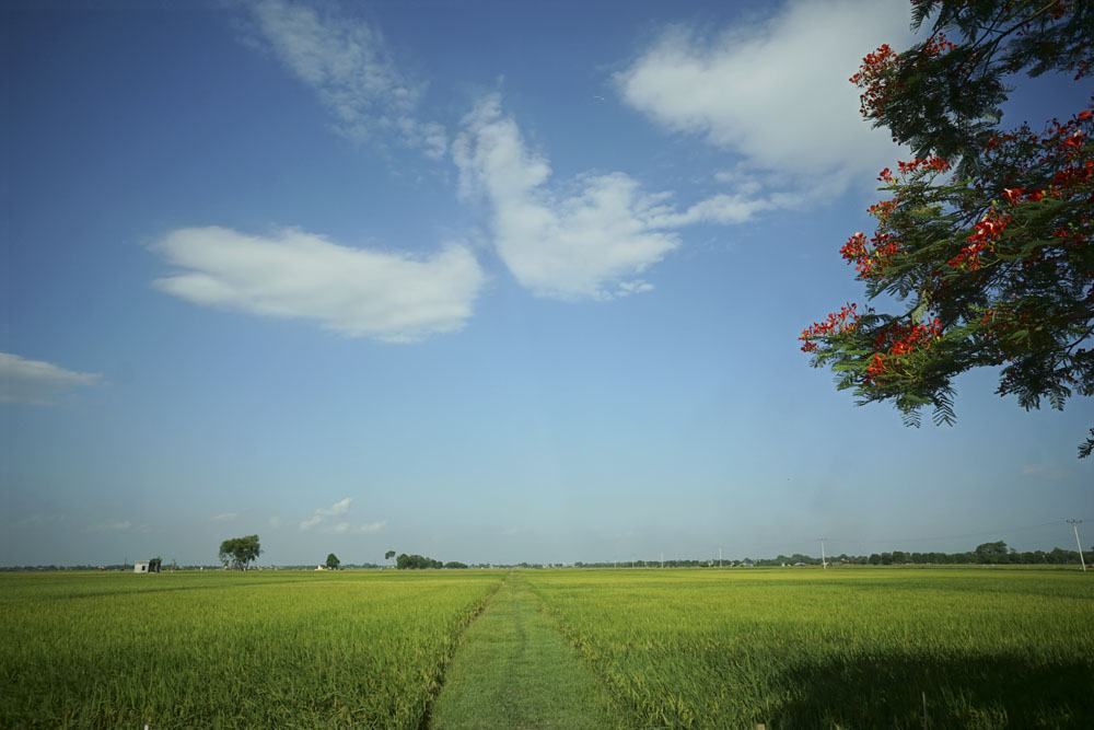 Cảnh đẹp làng quê Việt Nam