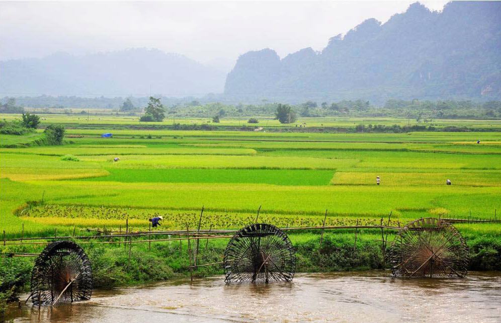 phong cảnh làng quê việt nam