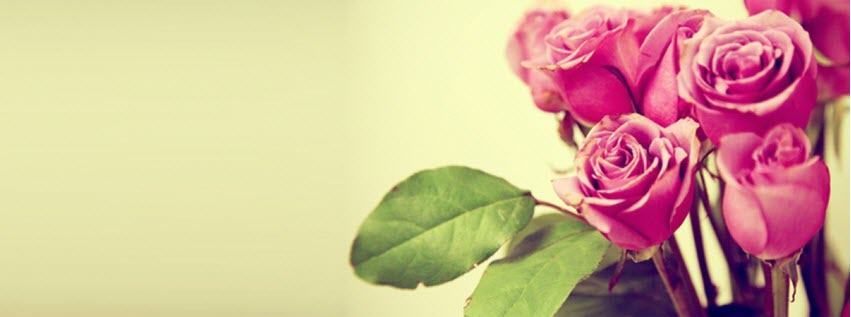 Facebook Cover Photo Beautiful Flowers 1