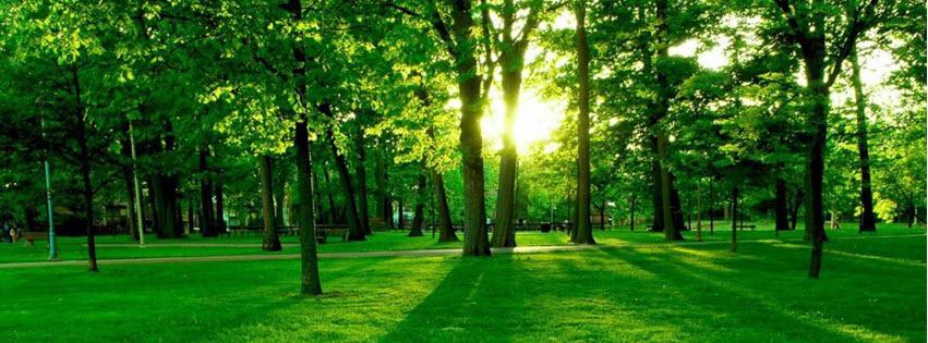 Facebook Cover Photo Beautiful Scenery 7