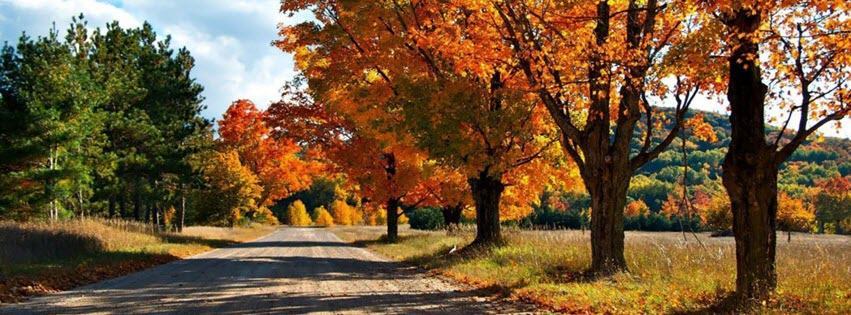 Facebook Cover Photo Beautiful Scenery 12