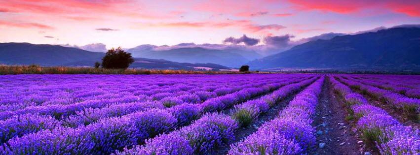 Facebook Cover Photo Beautiful Scenery 18