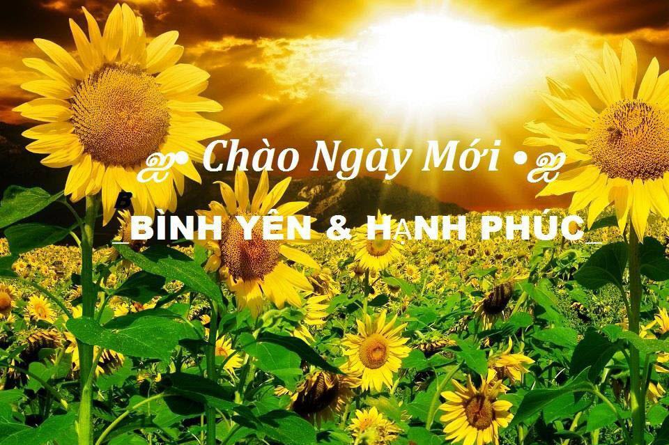 Hình ảnh chào ngày mới