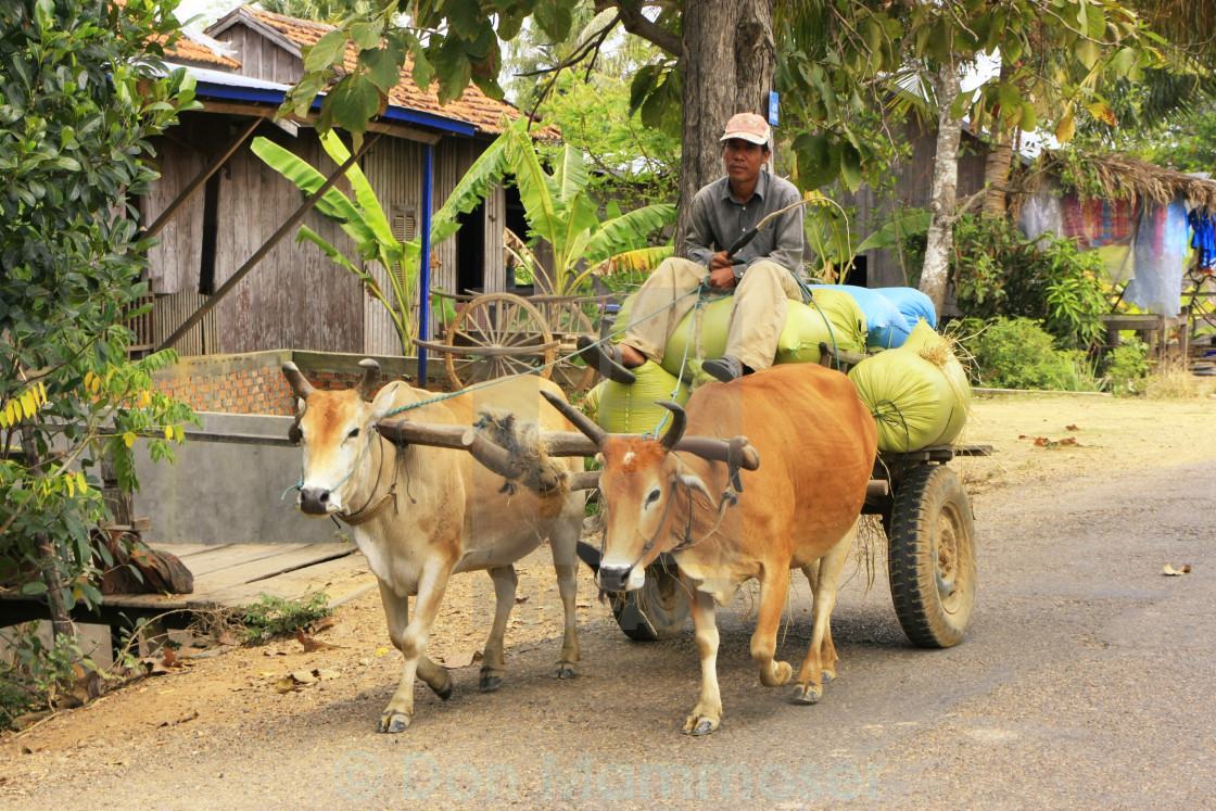 Hình ảnh máy cày đẹp nhất