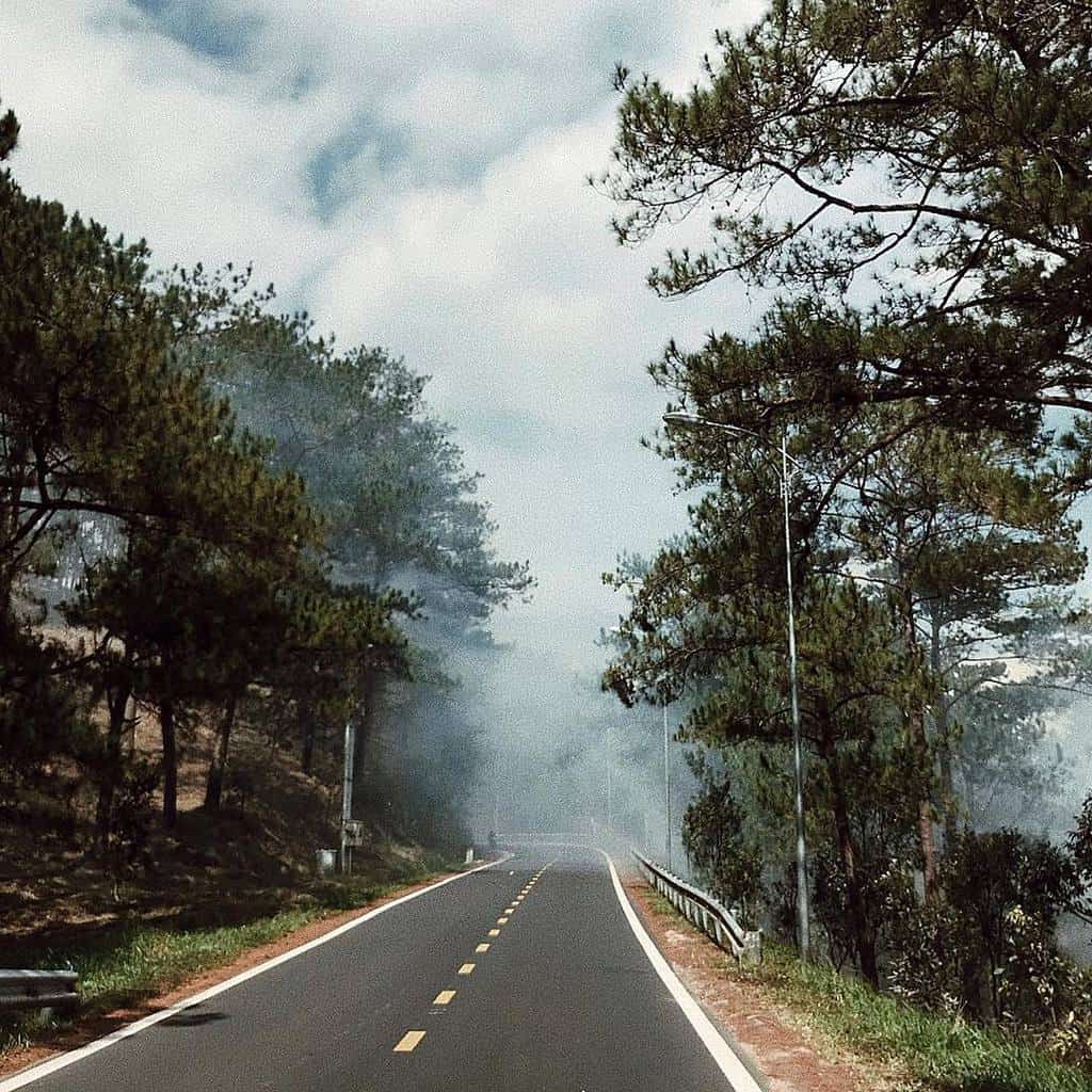 Con đường Đà Lạt với sương mù bao quanh