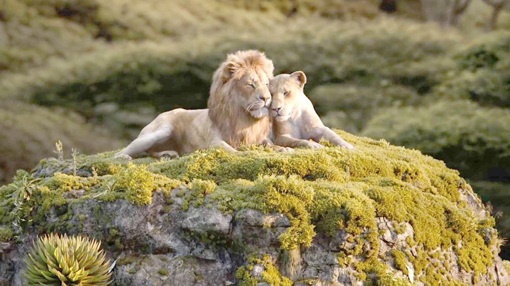 Hình ảnh sư tử đẹp nhất