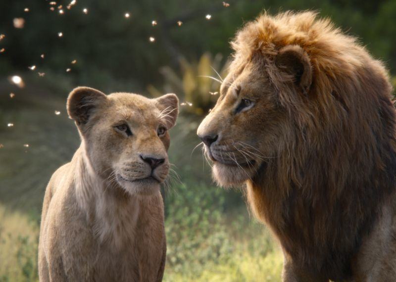 Hình ảnh vua sư tử