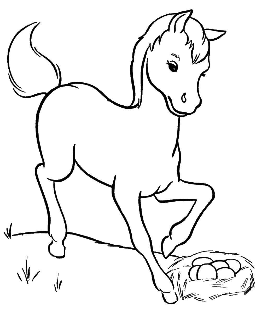 Hình ảnh Một Hình ảnh Của Một Bản Vẽ Phác Thảo Phác Thảo Trang Tô Màu Ngựa  Vectơ PNG  Vẽ Hình Con Ngựa Phác Thảo Hình ảnh Con Ngựa Tranh Tô