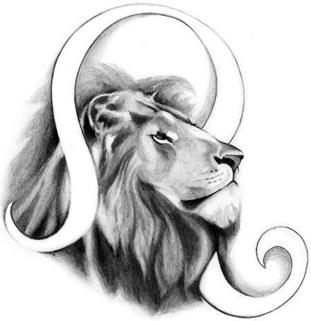vẽ sư tử