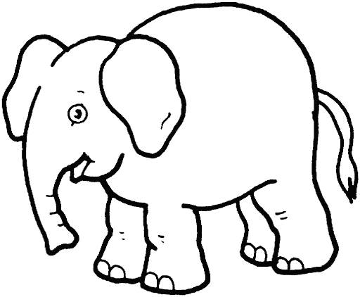 Tranh tô màu con voi mập