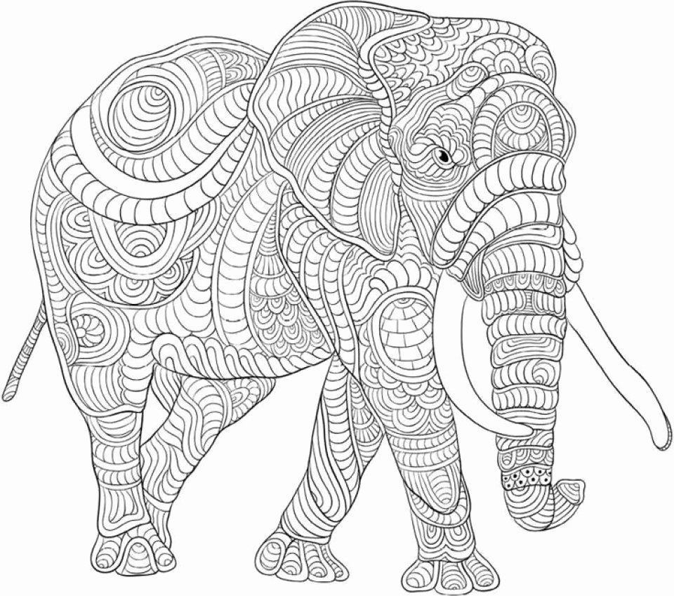 Tranh tô màu con voi với nhiều họa tiết phức tạp