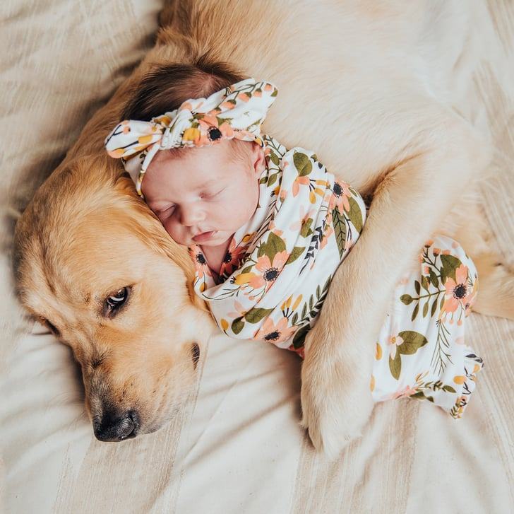 Hình ảnh chó và em bé dễ thương