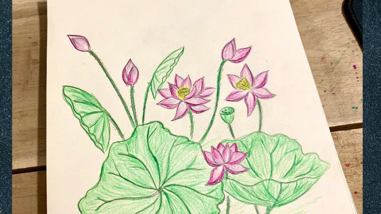 Bài vẽ hoa sen của học sinh lớp 8