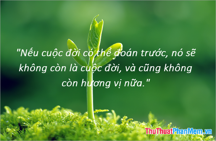 Nếu cuộc sống có thể đoán trước được