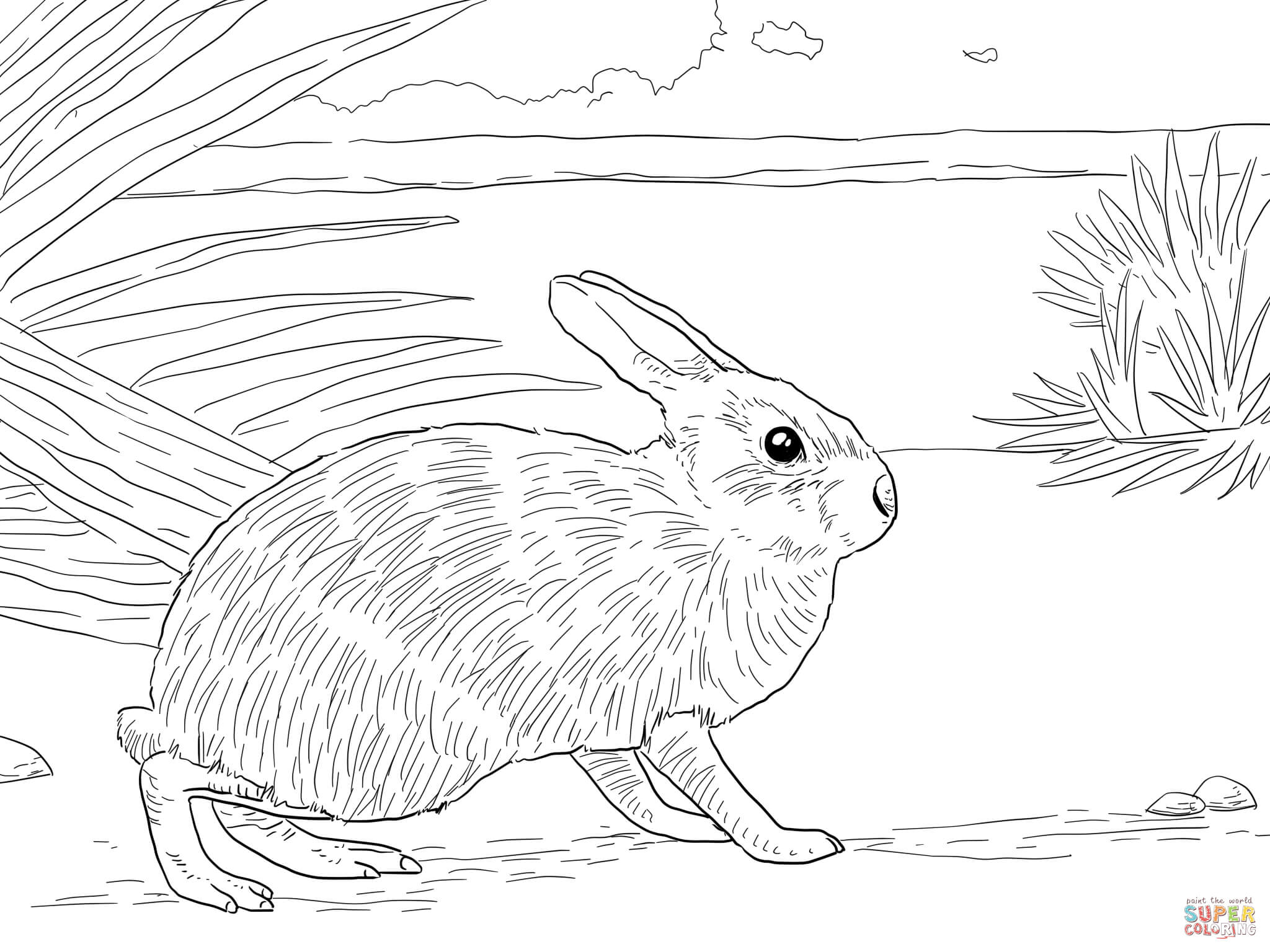 Tranh tô màu chú thỏ trên bãi cỏ