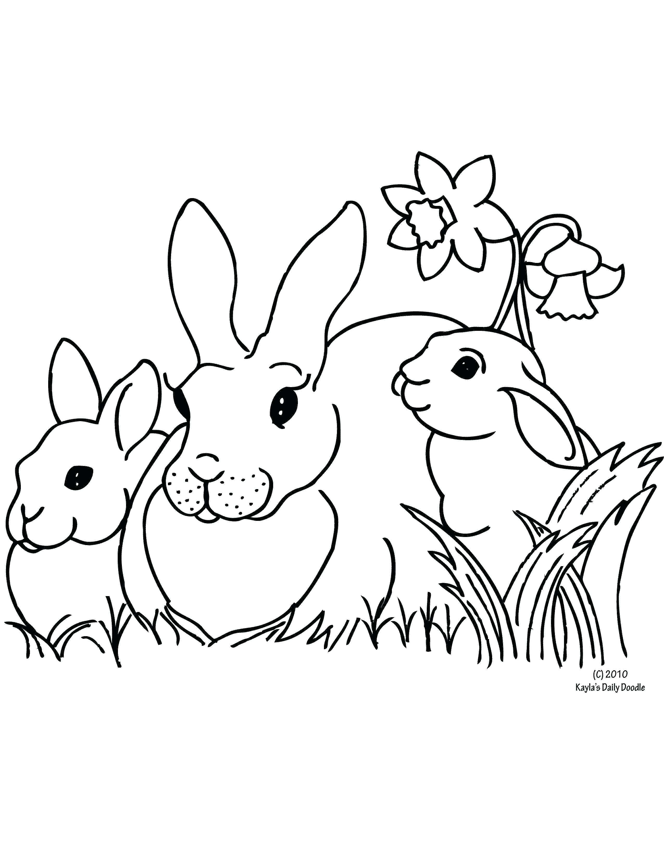 Tranh tô màu ngôi nhà của 3 chú thỏ đứng bên cành hoa