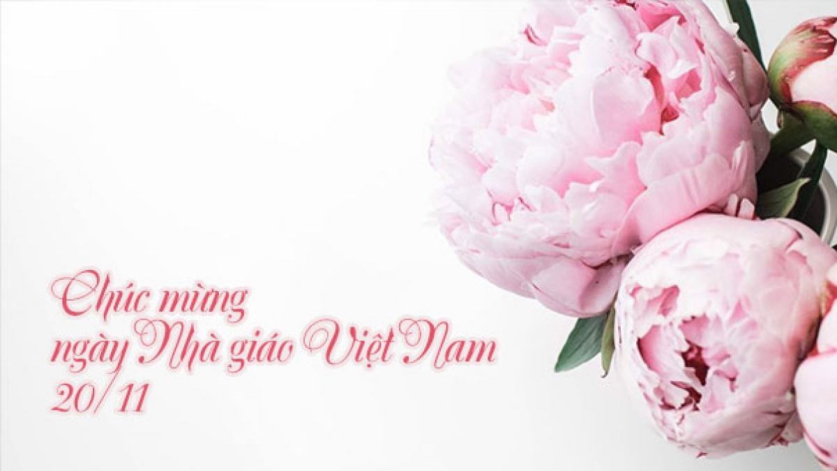 Ảnh đẹp ngày Nhà giáo Việt Nam